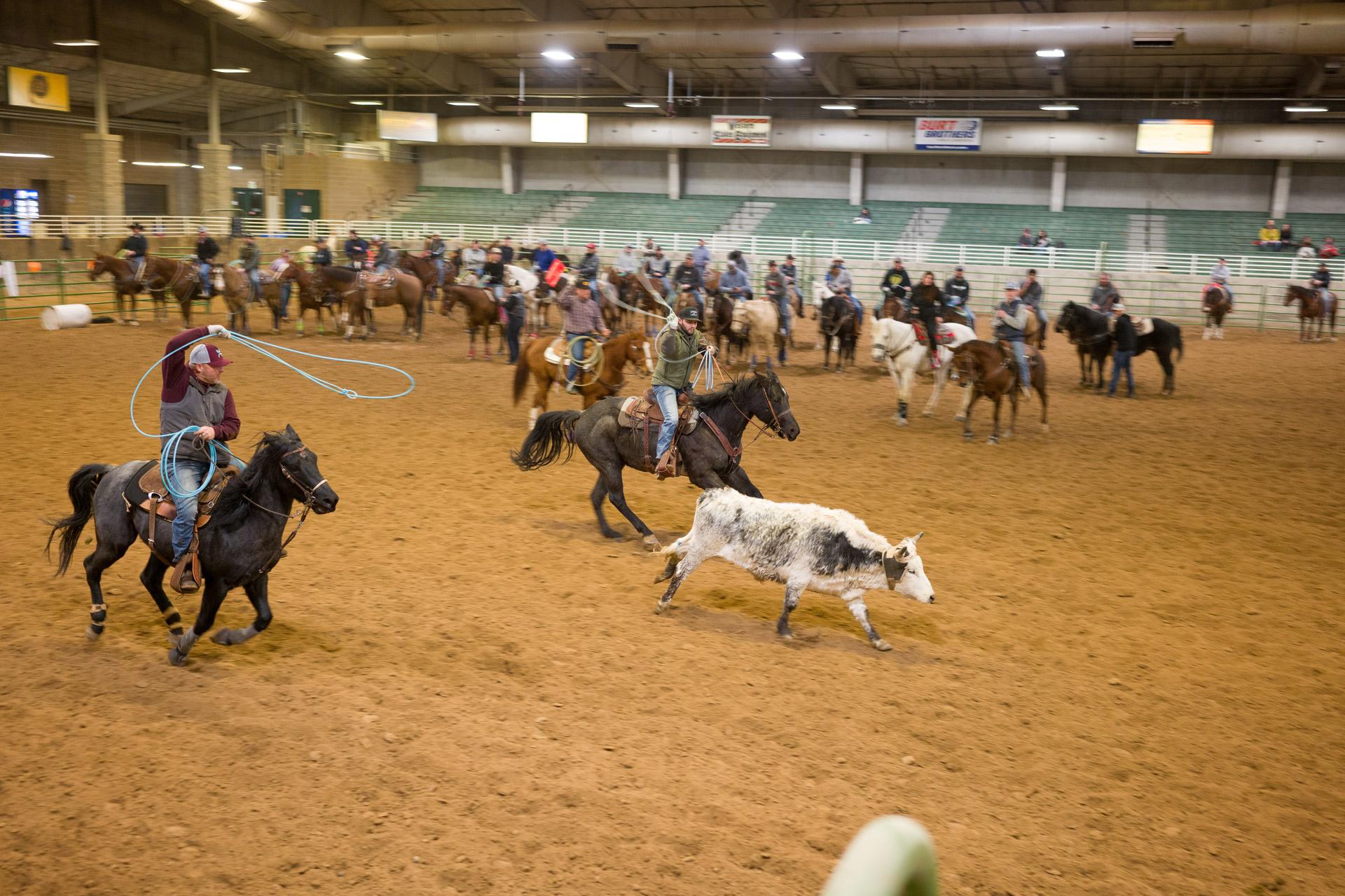 Interior shot of arena during a Rodeo event